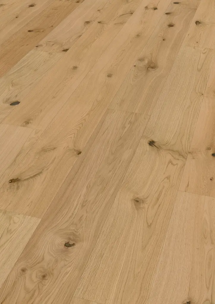 4c.91.2a.1101280231HWEicheCaledonianForestOFPersV01.webp