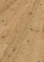 4c.91.2a.1101280231HWEicheCaledonianForestOFPersV01.webp