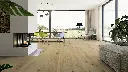 59.c0.c7.1101280231HWEicheCaledonianForestWohnMilieuRSV01.webp