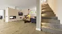 30.49.4d.1101280131HWEicheCaledonianForestWohnMilieuRSV01.webp