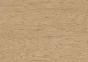 fc.a2.bc.1101281103HWEicheNordensArkOFDetailV01.webp