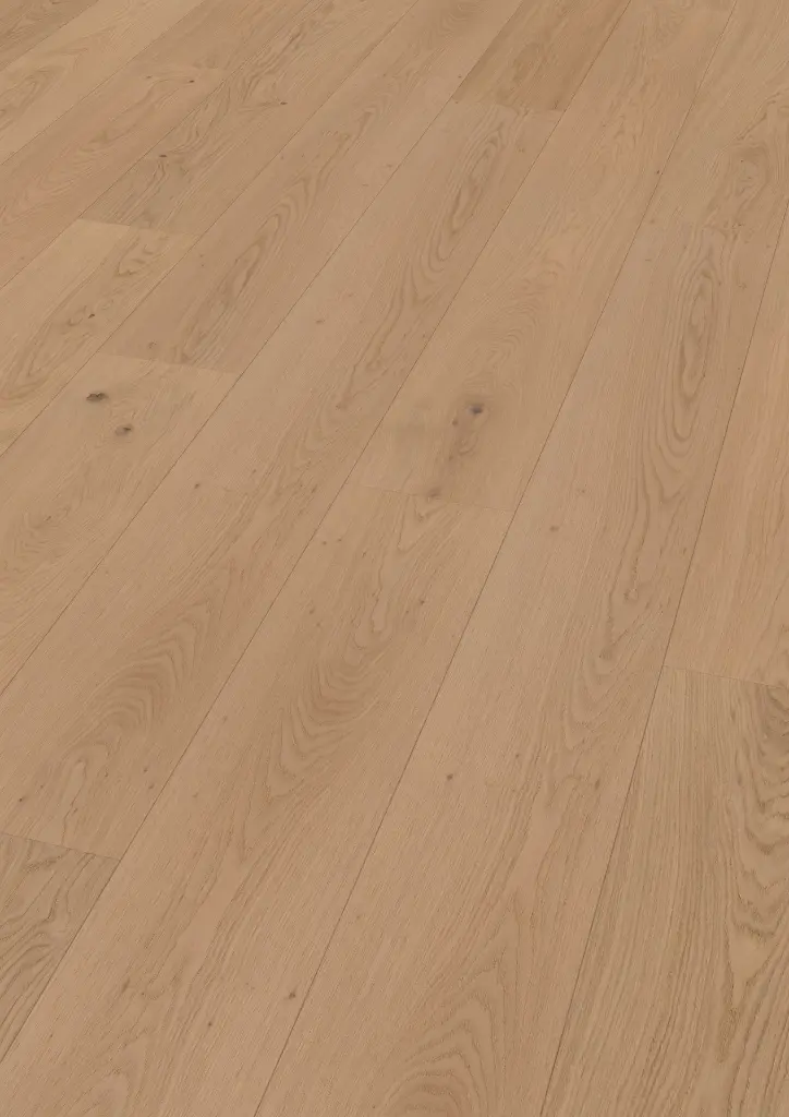 1d.9b.50.1101281208HWEichePirinOFPersV01.webp