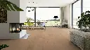 ce.22.5d.1101281208HWEichePirinWohnMilieuRSV01.webp