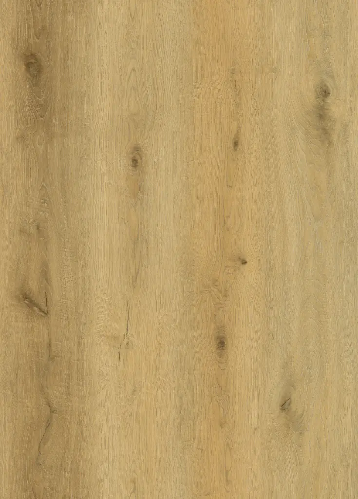 [SPC-DN86417-004] Regis Timber RigidPro SPC 1220 x 228 x 6mm 0,55 WL Embossé