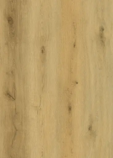 [SPC-DN86417-004] Regis Timber RigidPro SPC 1220 x 228 x 6mm 0,55 WL Embossed