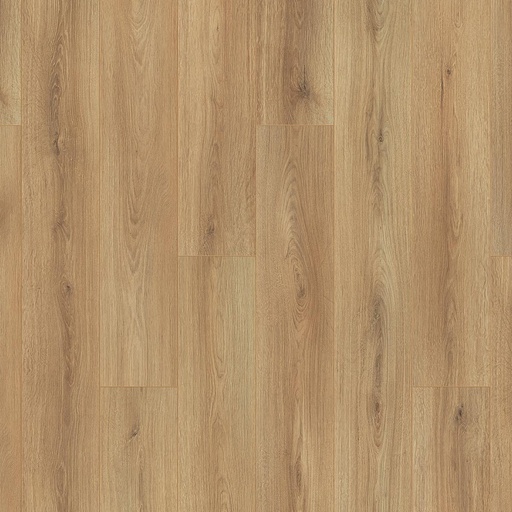 [OTI10000] OTIUM Amber taupe