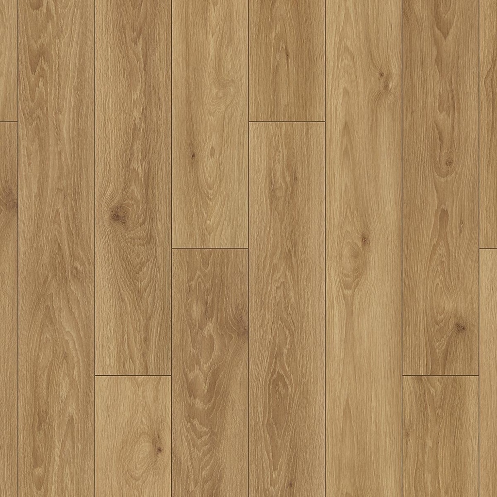 03443 OTIUM Ritual warm