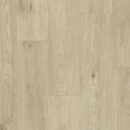 [OTI10008] OTIUM Silk clay