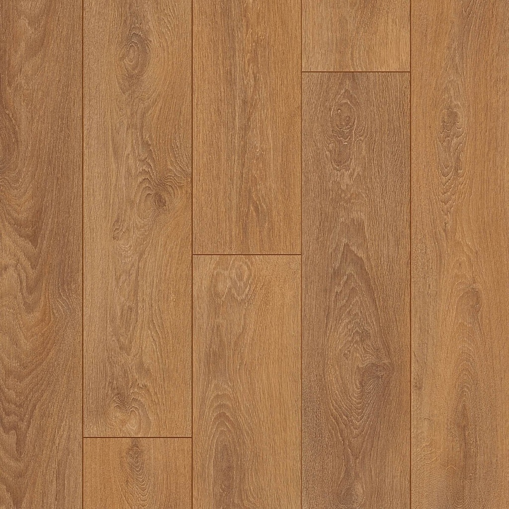 04588 OTIUM Ritual brown