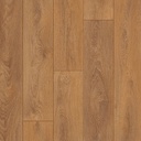 04588 OTIUM Ritual brown