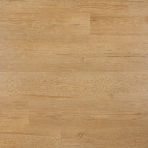 [OTI90053] OTIUM Hammam Plank click PVC