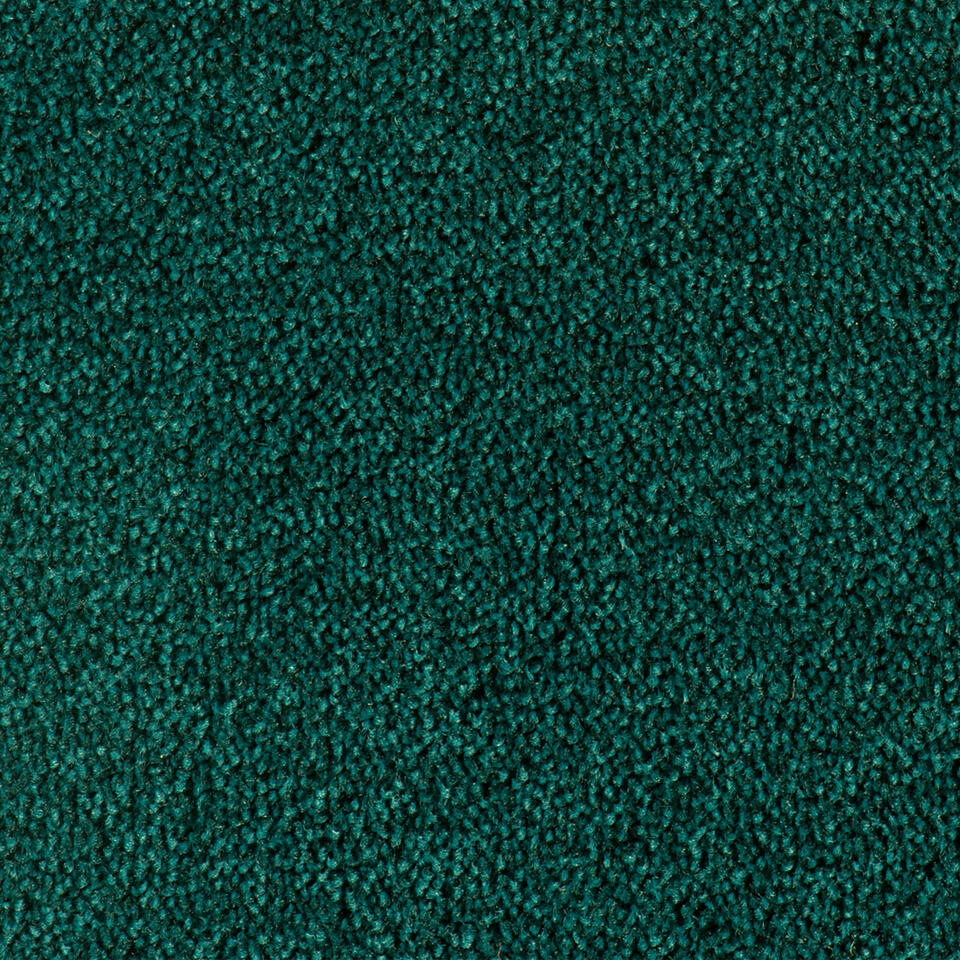 Parade Colour King AA73 E1 400