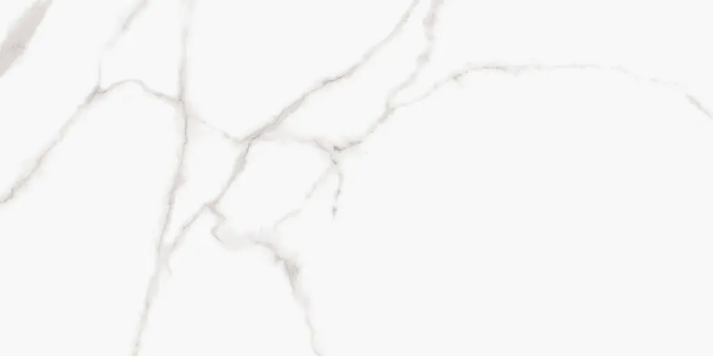 [42143] Bianco Carrara tile Porcelain 60 x 120