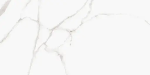 [42143] Bianco Carrara tegel Porselein 60 x 120