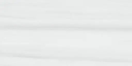 [58813] Dolomite tegel Porselein 30 x 60 (White mate)