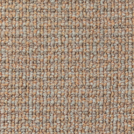 Parade Studio Tarkett B285 5m (411)
