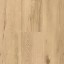 Spirit Soul Clcf 55 Plank