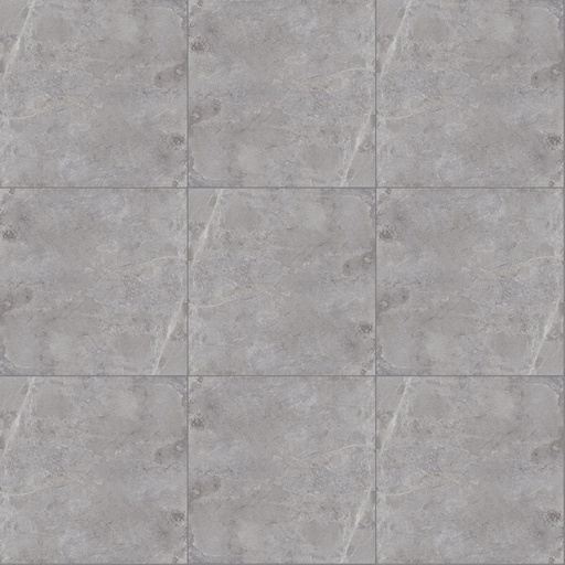 [1232002] Luca Out Evolve Antislip 100x100 20mm (Grey)